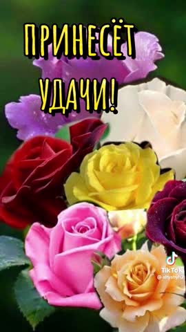 VID-20240321-WA0057