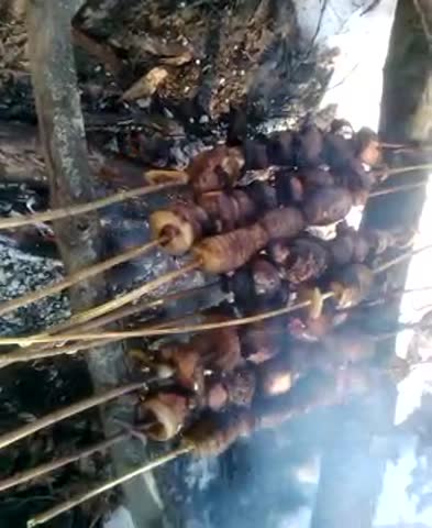 VID_20180310_130303