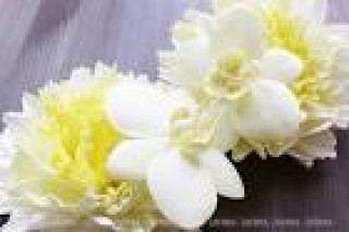 images-17