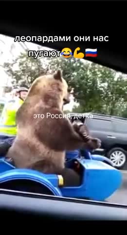 леопардами_они_нас_пугают