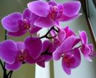 images-18