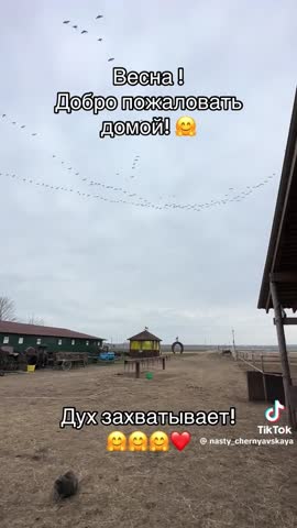 v09044g40000cnq1h27og65g0c82kkog