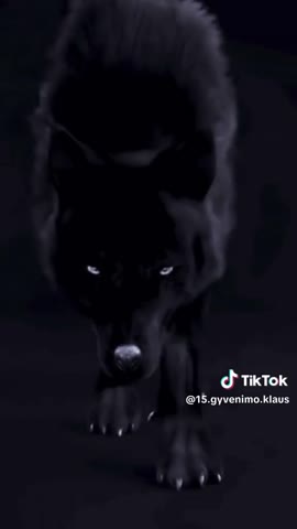 FbVideo_1711440288328