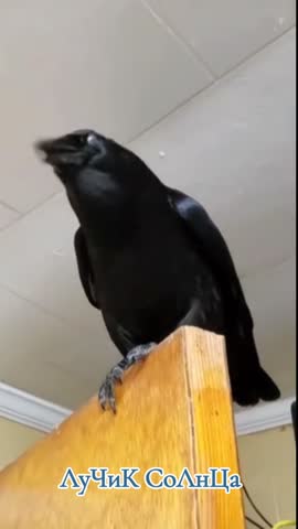 -Лучик-Солнца-