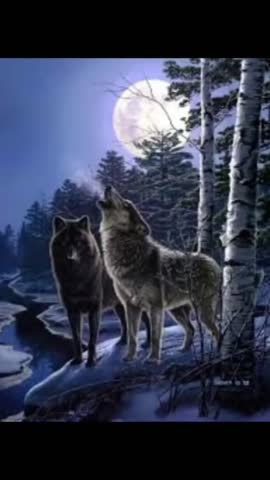 FbVideo_1711438557744