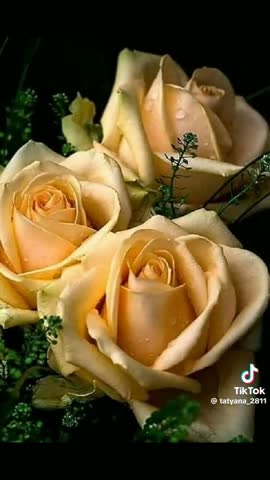 WhatsApp_Video_2024-03-27_at_06_43_49