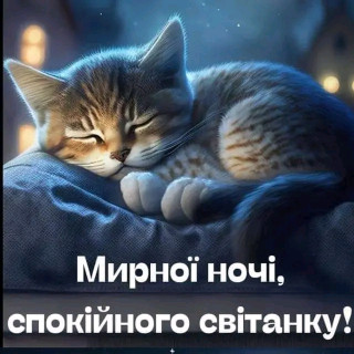 FB_IMG_17115758242847145