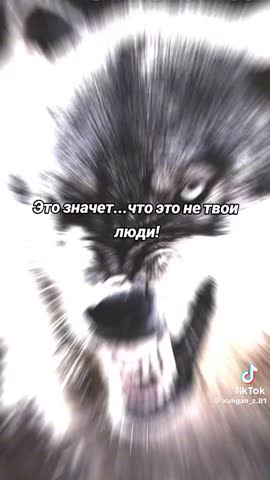 3c4dbf443d7f4463184a2deebbb95cbe