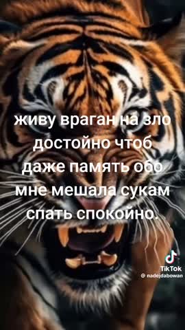 8a776da79748ce2813609003f3fe6fc2