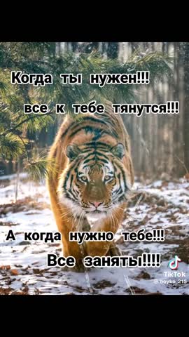 1afe193552832ac15c3cc1662d8315b7