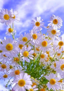 FB_IMG_17116423019234777