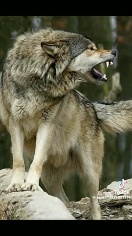 3b17f5a84b8bc47cfe9a17606b877e22