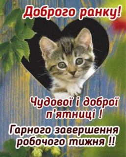 IMG-a31e2f2b66eac283e4944749a0099346-V