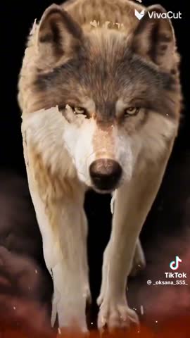 bbdf68f7c13e79148411e41b81678f95