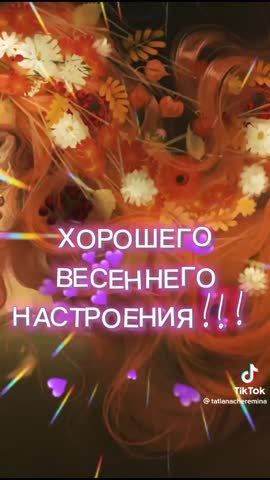 WhatsApp_Video_2024-03-31_at_14_58_49