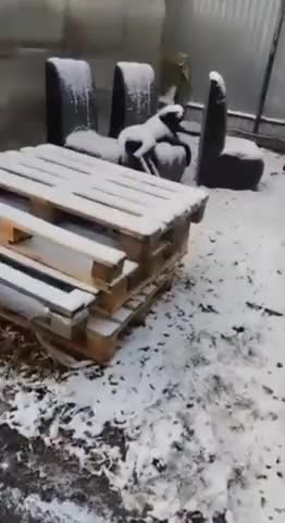 холодильник