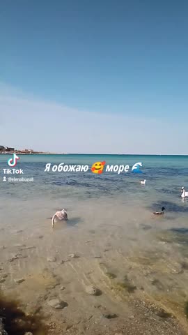 2024-03-31-202218192