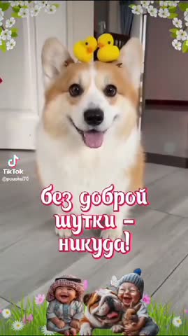 WhatsApp_Video_2024-04-01_at_06_56_13