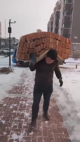 сами_носите_по_два_кирпича