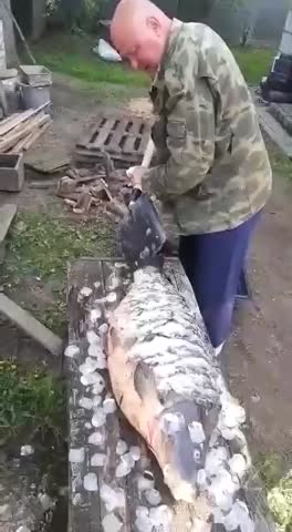 WhatsApp_Video_2024-04-02_at_11_15_391