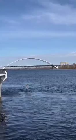 WhatsApp_Video_2024-04-03_at_11_48_34