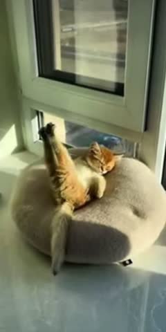 VID_20240405_084950_756