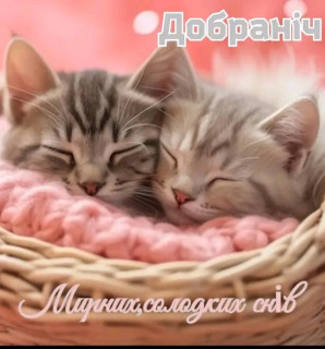 FB_IMG_17123459765131428