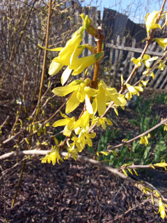 IMG_20240330_090511