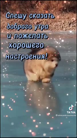 8f73361ddd9e00fb497d6ba3a66672ff