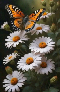 FB_IMG_17126050072999083