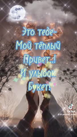 video-d8017123c39d6f9cdac136a6585257bf-V