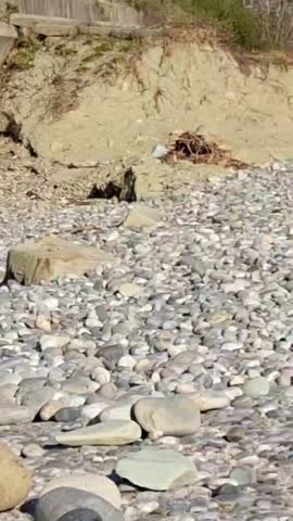 а_у_нас_на_пляже