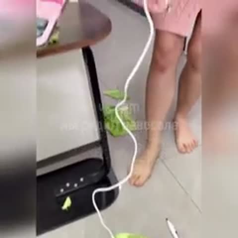 Здравствуй_утро