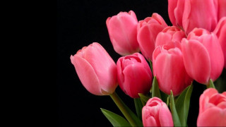 1660671850_27-kartinkin--p-otkritki-s-8-marta-zhene-29