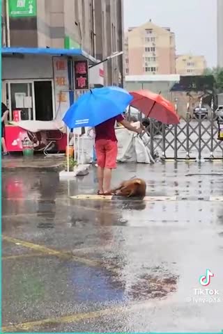 WhatsApp_Video_2024-04-10_at_15_39_08