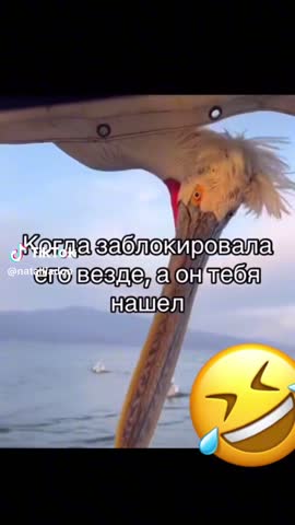 e233fa69fc13a477c0c60ed4c44939bc