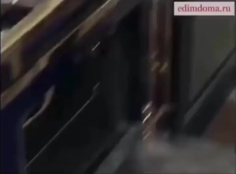 Юлька_Высоцкая