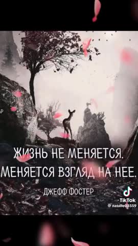video_7723832644989