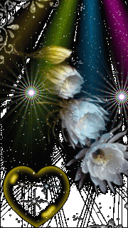 6c92354386b8c7e72c5f731ff260016b