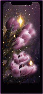 84a9d67ffc6cb0973e6af49e9ac2bff6