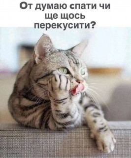 IMG_20240414_231912_397