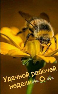 IMG-10eff93fc1f5965191fe012763789016-V