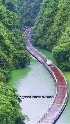 WhatsApp_Video_2024-04-16_at_11_28_37