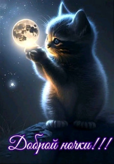 FB_IMG_17132997908241091