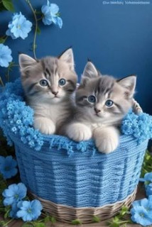 IMG-3b73a2e354c1dc3da6d5a556c40cb5ce-V