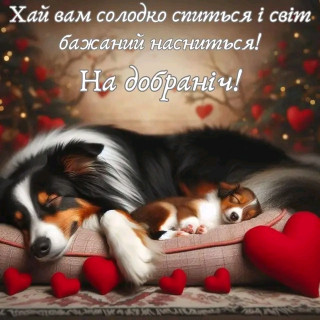 FB_IMG_17135592153496256