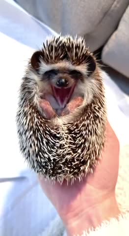 VID_20240421_111128_986