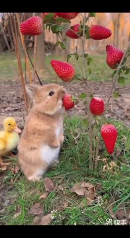 VID_20240421_110931_362