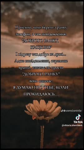 91c09772284bad1190550fa9c230ce7b