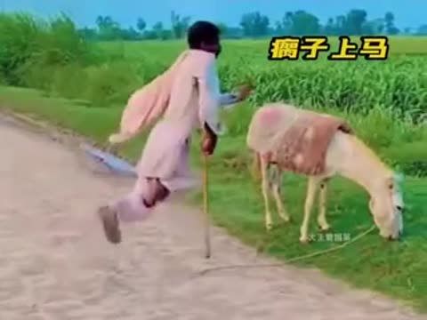 Шикарные_трюки